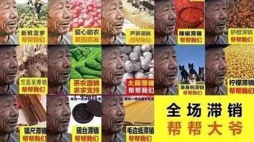 鸟哥笔记,新媒体运营,运营进化史,总结,思维,运营规划